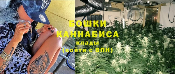 Альфа ПВП Богородицк