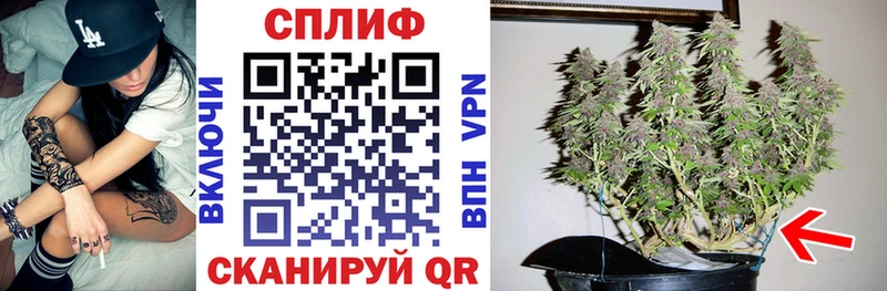 купить закладку  Новозыбков  Каннабис AK-47 